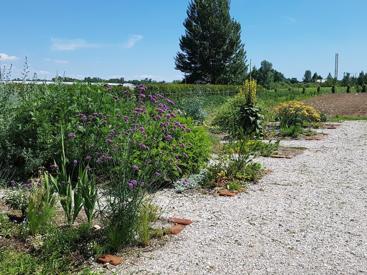 Agriturismo Frascje Dai Spadons Villa Pradamano Kültér fotó